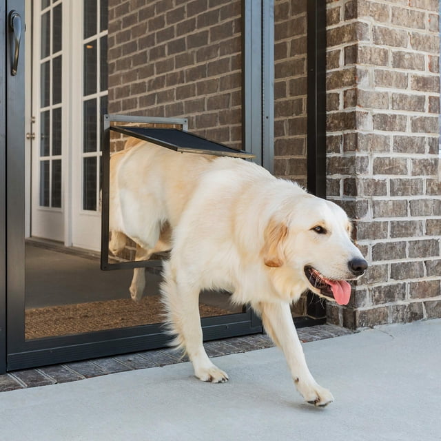 Puerta mosquitera PetSafe NEVER RUST, tamaño grande para mascotas de hasta 45 kg