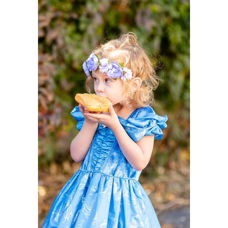 Cinderella Butterfly