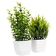 thumbnail image 4 of 2 piezas de plantas artificiales en maceta para escritorio, plantas de imitación en maceta, adorno de bonsái verde, 4 of 6