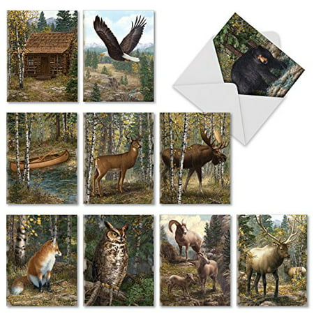'M10032BK INTO THE WOODS' 10 Assorted All Occasions Greeting Cards Feature Woodland Scenary and Animals with Envelopes by The Best Card