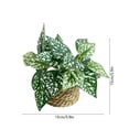 thumbnail image 3 of Eolstice Artificial Potted Plants, Assorted Mini Faux Leaf Shrub In Straw Basket, Multi Style Small Tabletop Planter, For Indoor Shelf Desk Home Decorative Planter, 3 of 6