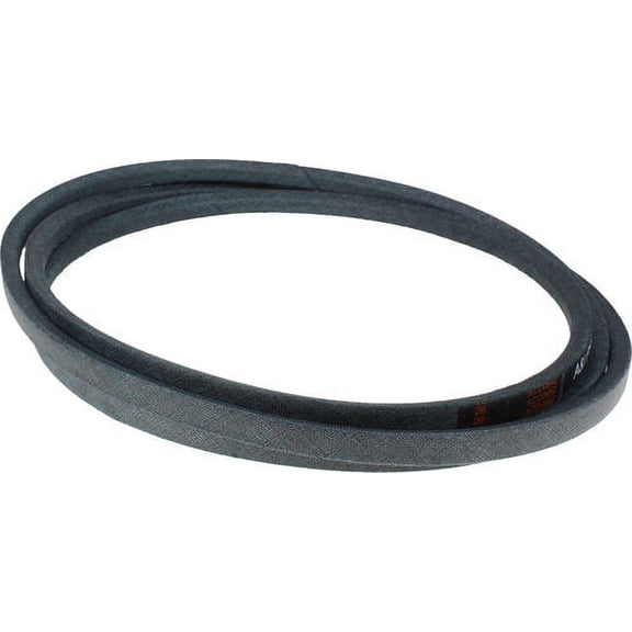 PP12012: Belt