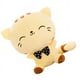thumbnail image 4 of Lindo muñeco de gato de cara grande, juguete de peluche, muñeco de gatito, juguete de peluche, regalo de cumpleaños creativo para niños, 4 of 5