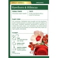 thumbnail image 6 of Traditional Medicinals, Organic, Hawthorn & Hibiscus, Tea Bags, 16 Ct, 6 of 11