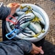 thumbnail image 2 of Pinzas para peces, accesorios de pesca ligeros y portátiles, pinzas para peces, control de peces L, 2 of 9