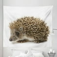 thumbnail image 1 of Hedgehog Tapestry, Small Mammal with Spiked Hair on Its Back and Sides Wildlife Photography, Fabric Wall Hanging Decor for Bedroom Living Room Dorm, 5 Sizes, Cocoa Brown, by Ambesonne, 1 of 1