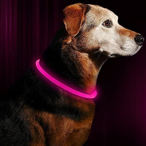 Candofly Rechargeable LED Dog Collars - Glow in The Dark Dog Lights Durable Nylon Lighted Collars for Small Medium Large Dogs Ke