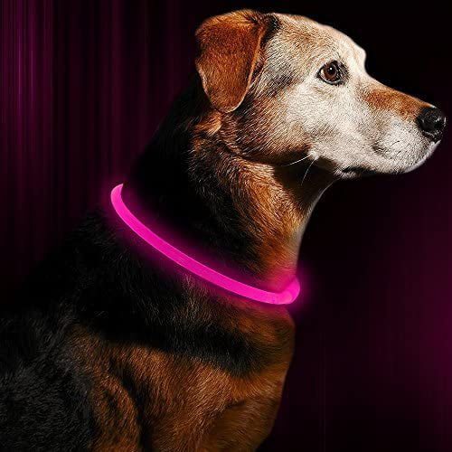 LED Dog Collar Light Up Night Safety Collar USB Rechargeable Waterproof for One