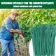 thumbnail image 5 of Bridas ajustables verdes para plantas y sujetacables para sujetar tocones de tomate, paquete de 5 con 100 bridas, 5 of 7