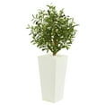 thumbnail image 2 of Nearly Natural 3.5-Ft. Olive Artificial Tree in White Planter, 2 of 2