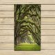 thumbnail image 1 of ABPHQTO Oaks Avenue Plantation Live Oak Trees Forest Landscape Toallas Playa Baño Piscina Sprot Travel Hand Spa Toalla 40x70 cm, 1 of 1