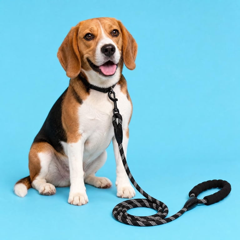 Reflective Rope Leash, 6 ft, Black & White, Medium/Large photo 8