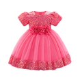 thumbnail image 2 of EnJoCho Girls Sequin Dress Puff Short Sleeve 3D Rose Waist Tulle Formal Gown For Little Girls Toddler Wedding Birthday Party Holiday Princess Dress, 2 of 5