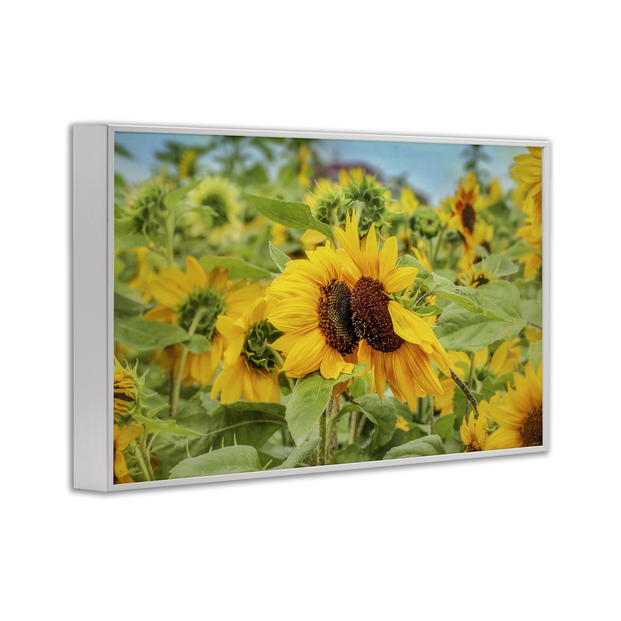 Stupell Industries Sunflower Field Photography Landscape Photography White Framed Art Print Wall Art, 18 x 12