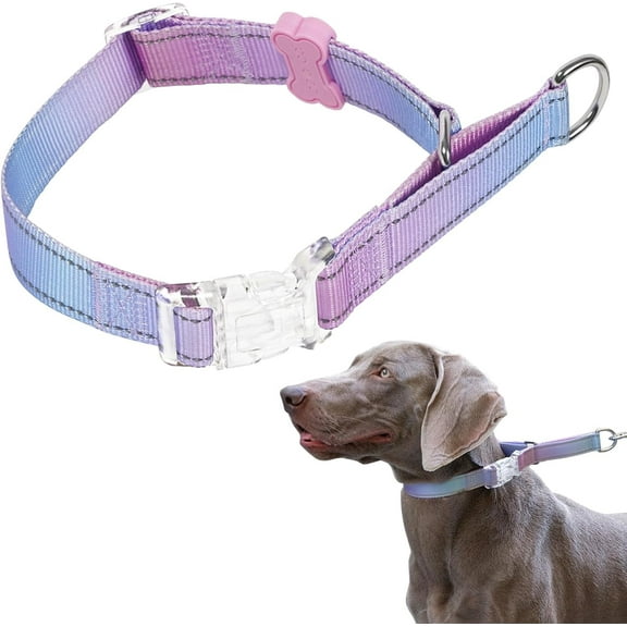 BELLA & PAL Slip Martingale Collar for Dogs, Limited Slip Design, Reflective, Escape-Proof, Gentle Control, Adjustable Training Collar with Quick-Release Strong Buckle, Nylon, Small