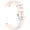 Starlight color, variant on Flexible Band Quick Release Watch Belt Sweatproof Bracelet for 2
