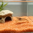 thumbnail image 6 of Glow in the Dark Aquarium Gravel Decorative Stones for Fish Tanks and Betta Shrimp Aquariums, Luminous Noctilucent Substrate, 6 of 6