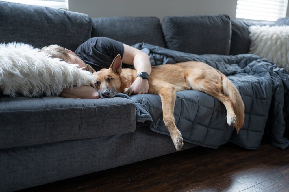 Premium Weighted Blanket Queen 60x80" 20 lbs Breathable Natural Cotton