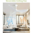 thumbnail image 4 of Sofucor 52-Inch Modern Indoor Ceiling Fan with Remote Control, 4 of 9