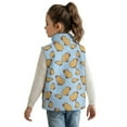 thumbnail image 2 of Uorisanigo Girls Boys Zippered Vest Soft Sleeveless Bear Camouflage Hunting Jacket Lightweight Stand Collar Top Fall Winter Warm Outwear with Pockets Puffer Vest Outdoor Layering, 2 of 7
