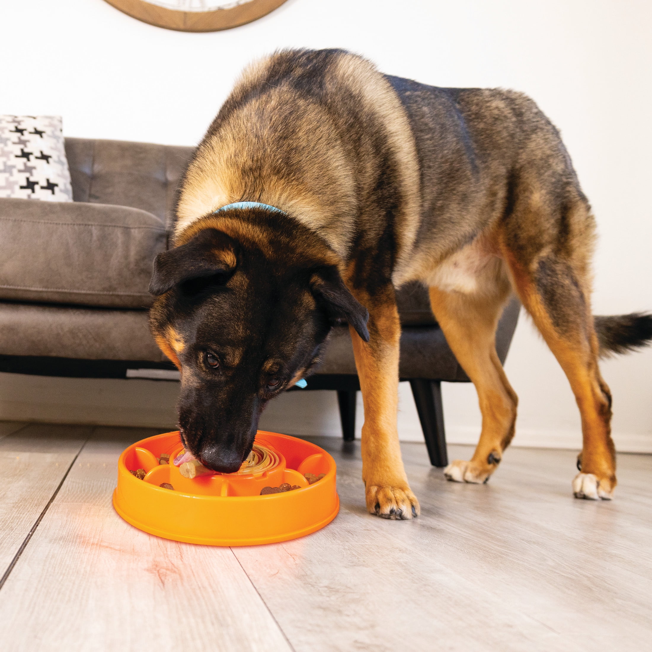 KONG Licks Mealtime Treat and Slow Feeder for Dogs, Large