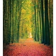 thumbnail image 3 of Forest Duvet Cover Sets, Pathway in Autumn Dramatic Road to Infinity Toned Warm Fall Colors Rural Scenery Print, Bedding Set with 2 Duvet Covers & 4 Pillowcases, 2 Pack Queen Size, Green, by Ambesonne, 3 of 7