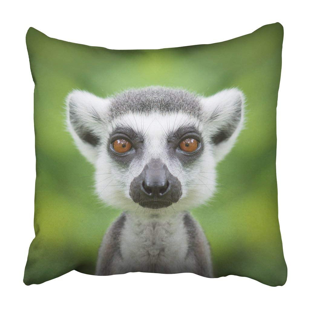 Multicolor Animal Cute Designs Just A Girl Who Loves Lemurs Throw Pillow 16x16