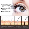 thumbnail image 5 of Suero líquido efectivo para el crecimiento de pestañas, producto potenciador de cejas, levantamiento de pestañas, alargamiento más completo, belleza más gruesa, cuidado de los ojos, 5 of 5