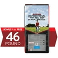 thumbnail image 6 of Purina Dog Chow Real Beef Dry Dog Food Complete Adult, 46 lb Bag, 6 of 9