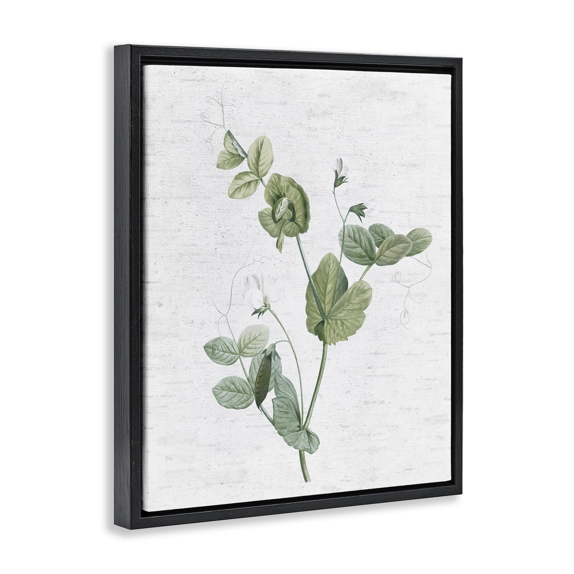 Stupell Industries Soft Country Botanical Botanical & Floral Painting Black Floater Framed Art Print Wall Art, 25 x 31