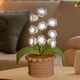 thumbnail image 1 of Maceta de luz LED tejida a mano con hilo de leche, 22 cm, rosa, blanco, morado, amarillo, decoración de escritorio, idea de regalo, 1 of 6