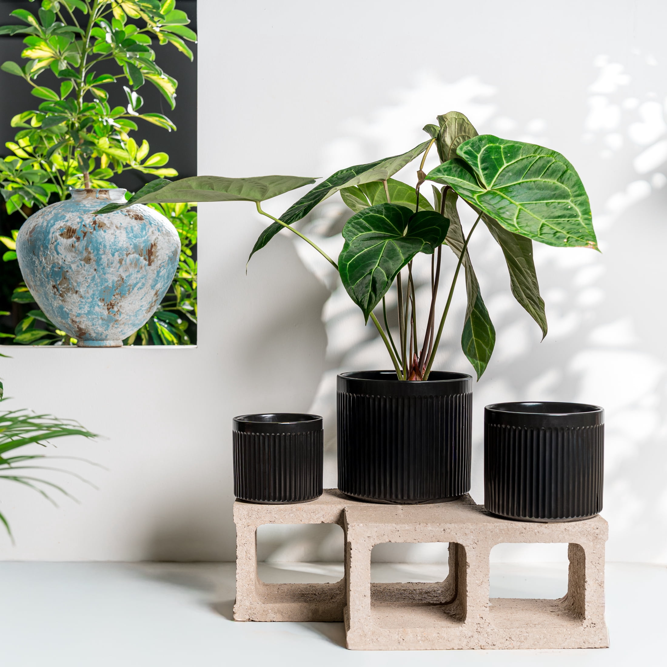 UMIAMOY Modern Cylinder Set of 3 Ceramic Flower Pots,5.7+7.0+8.6 inch Plant Pots with Drainage Holes and Saucer,Indoor Outdoor Planters for Home Patio Garden Decoration