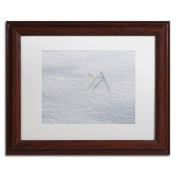 Trademark Fine Art "Winters Bleak Beauty" Canvas Art by Kurt Shaffer White Mat, Wood Frame