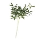 thumbnail image 1 of Hoja de olivo Artificial Gloria 98cm Plantas de césped artificial, 1 of 9