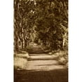 thumbnail image 3 of Perry, Rachel 17x24 Black Modern Framed Museum Art Print Titled - Road to St. Remy, 3 of 5