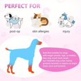 thumbnail image 4 of La Solution de Récupération Parfaite pour Votre Chien Ou Votre Chat, Souvent un Collier Conique pour Chien!, 4 of 4
