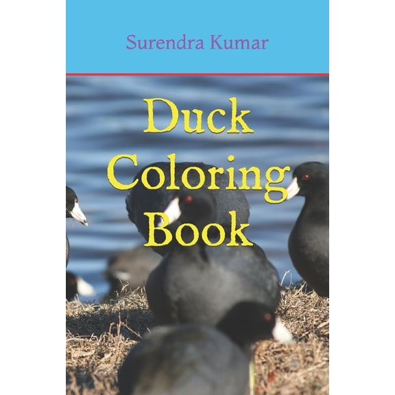 Duck Coloring Book, (Paperback)