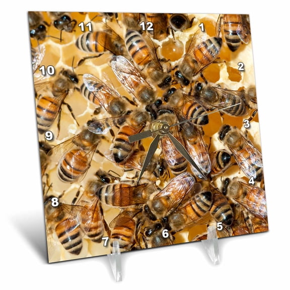 3dRose, Bee keeping at Arlos Honey Farm, Kelowna, British Columbia, Canada., 6x6 Desk Clock