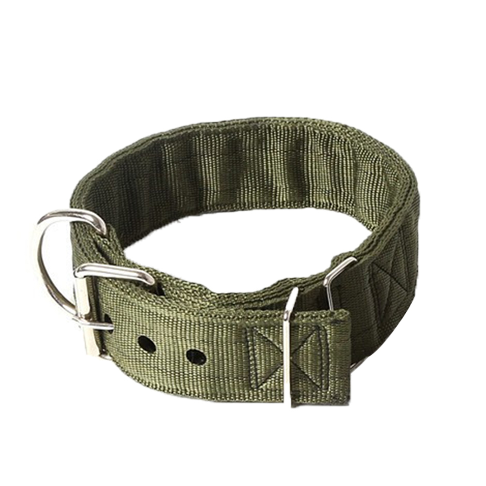 bite not collar walmart