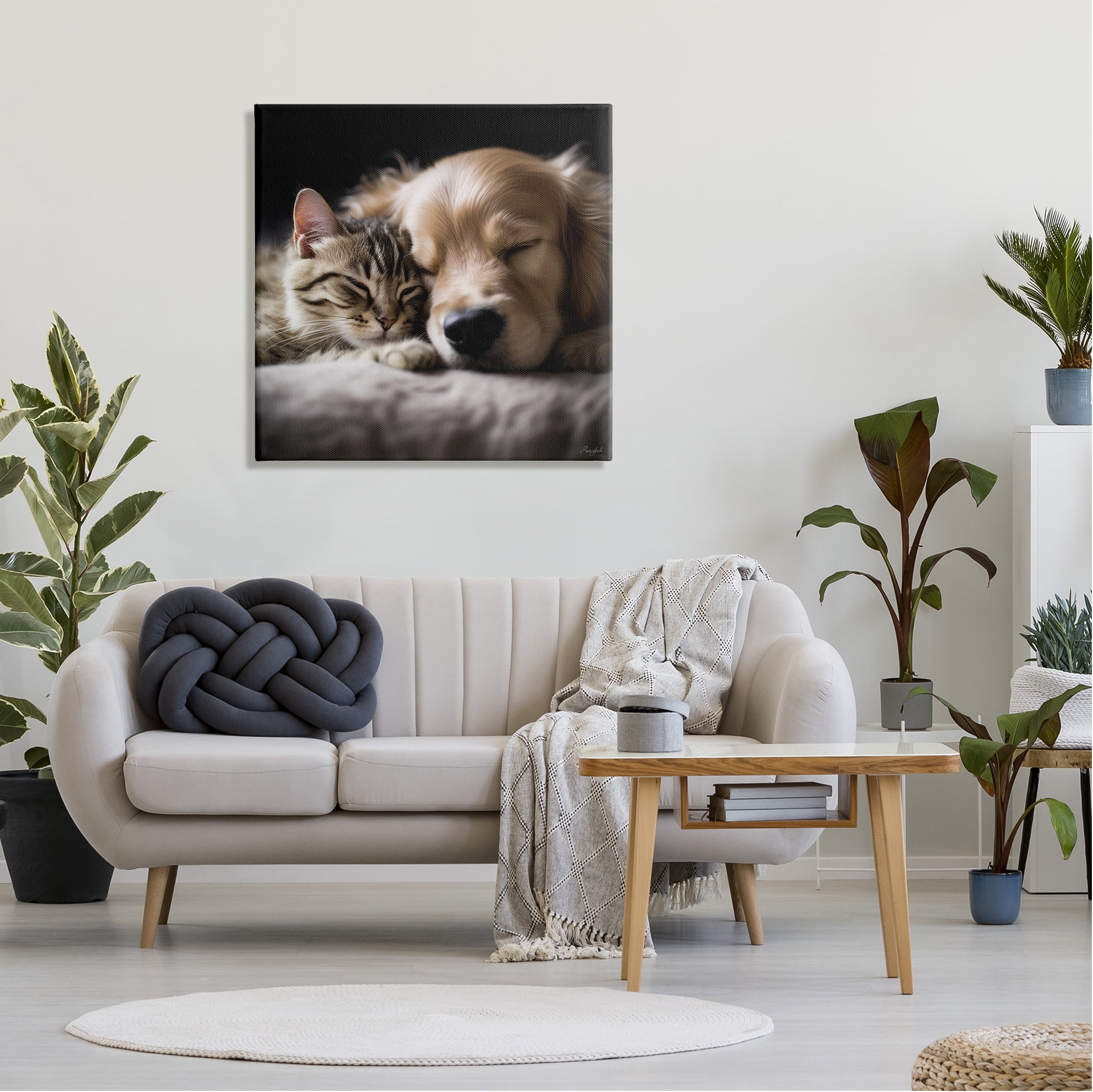Stupell Industries Cat & Dog Photography Animals & Insects Photography Gallery Wrapped Canvas Art Print Wall Art, 30 x 30