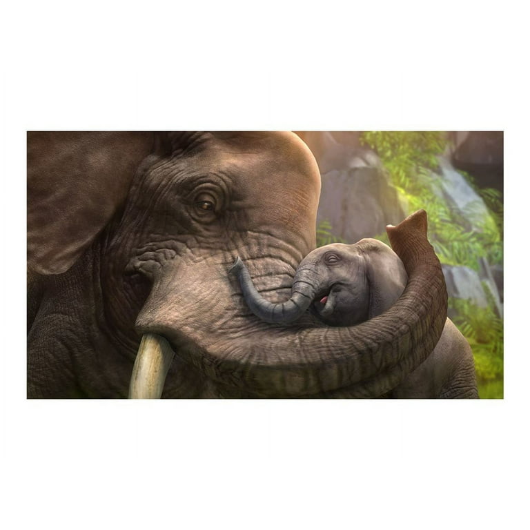 Zoo Tycoon, Microsoft, Xbox One, 889842230956