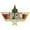 TOP GUN,W/JET, variant on US TOPGUN - United States TOP GUN Navy Squadron, Military Navy Fighter Weapons School, w/ Jet SML - Lapel PIN - 1.125"