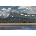 thumbnail image 2 of Jones, Adam 18x13 White Modern Wood Framed Museum Art Print Titled - Grizzly bear resting on beach with mountain backdrop-Lake Clark National Park and Preserve, 2 of 4