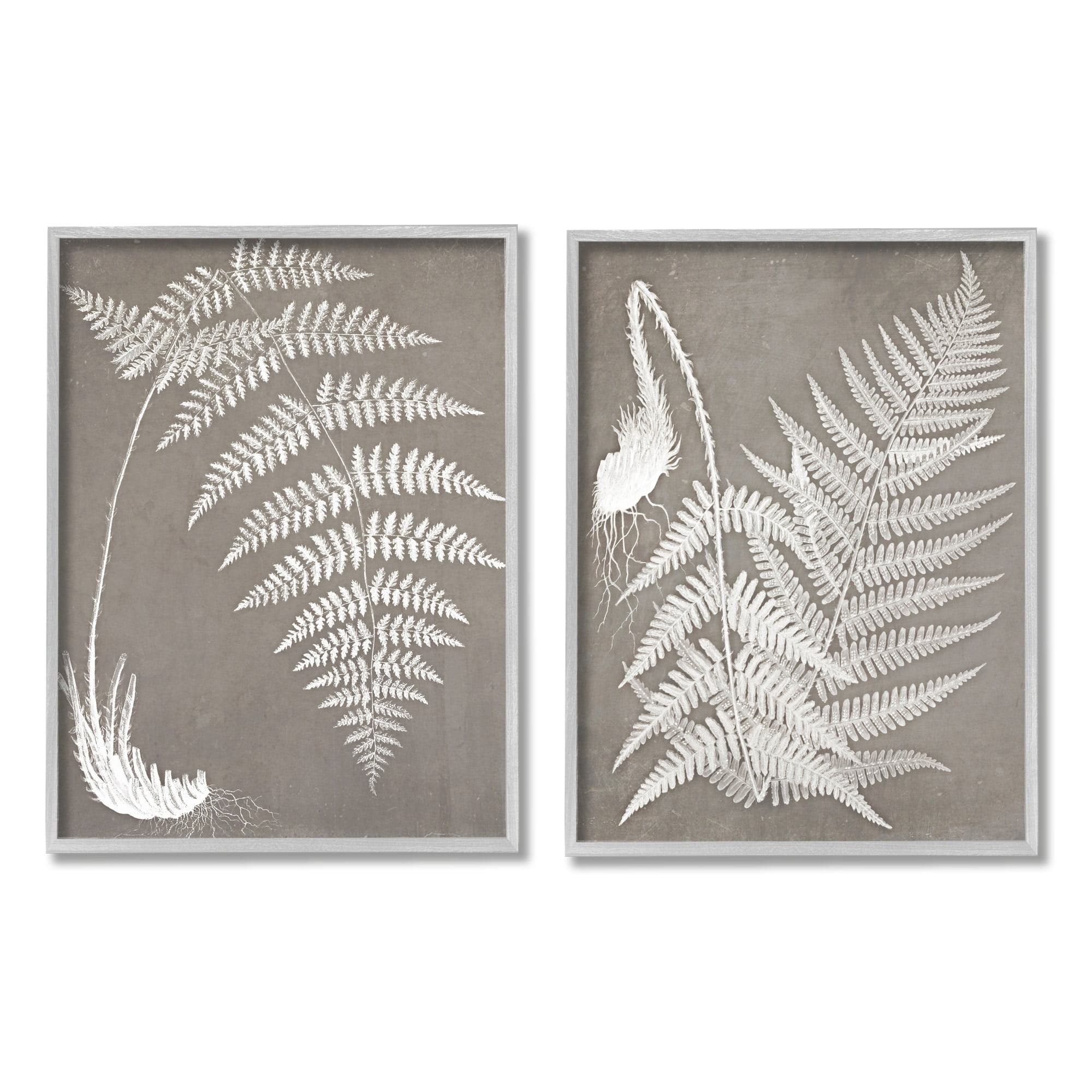Stupell Industries Detailed Fern Plant White Botanical Herb Roots Graphic Art Gray Framed Art Print Wall Art, Set of 2, Design by Graffitee Studios