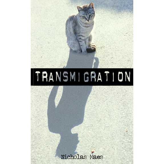 Transmigration, (Paperback)