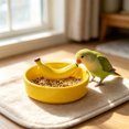 thumbnail image 4 of Yhmxh Ceramic Bird Feeding Bowl, Cute Bird Food Dish, Splatter Proof Parrot Cockatiel Feeder Dish, Heavy Base Ceramic Bird Feed Bowl for Small Medium Parrots Pet Bird Cage Daily Feeding Supplies, 4 of 6