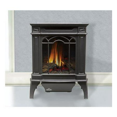 UPC 629169022410 product image for GVFS20P Arlington Cast Iron Stove-Natural Gas - Painted Black - Propane | upcitemdb.com