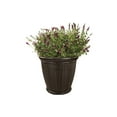 thumbnail image 7 of Suncast Willow 22" Resin Wicker Decorative Pot Planters, Set of 4, Java, 7 of 7