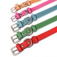 thumbnail image 6 of Didog Thin Plain Leather Dog Collar for Small Dogs Pet Puppy Cat Necklace Chihuahua S M, 6 of 8