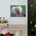 thumbnail image 6 of Close Up of Funny Baboon Outside Wall Art Ready to Hang Unframed, 6 of 18